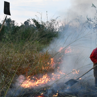 LUCHAMOS CONTRA EL FUEGO